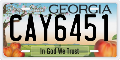 GA license plate CAY6451