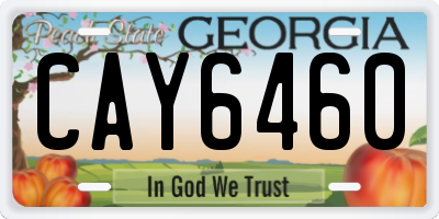 GA license plate CAY6460