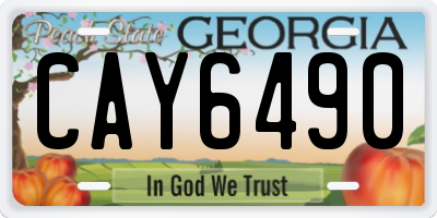 GA license plate CAY6490