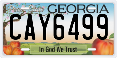GA license plate CAY6499