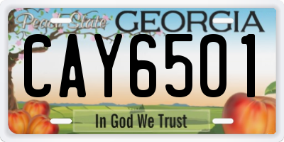 GA license plate CAY6501