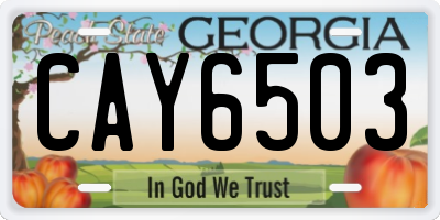 GA license plate CAY6503