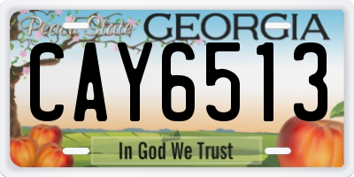 GA license plate CAY6513