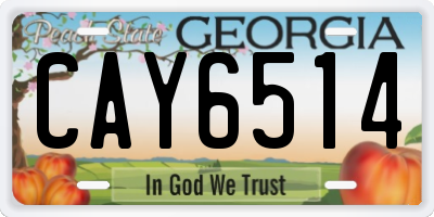 GA license plate CAY6514