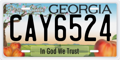 GA license plate CAY6524