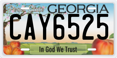 GA license plate CAY6525