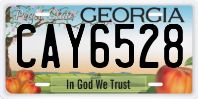 GA license plate CAY6528