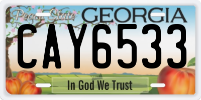 GA license plate CAY6533