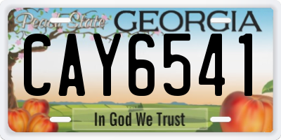 GA license plate CAY6541