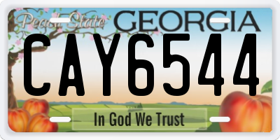 GA license plate CAY6544