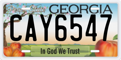 GA license plate CAY6547