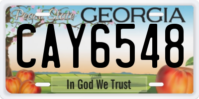 GA license plate CAY6548