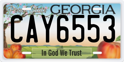 GA license plate CAY6553