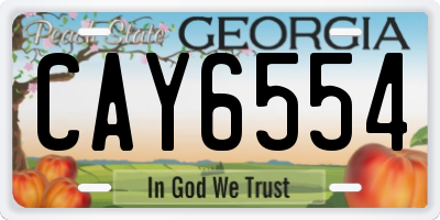 GA license plate CAY6554