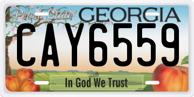 GA license plate CAY6559
