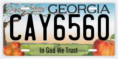 GA license plate CAY6560