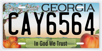 GA license plate CAY6564