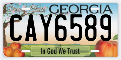 GA license plate CAY6589