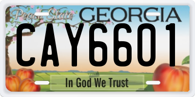 GA license plate CAY6601