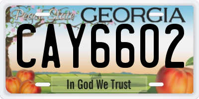 GA license plate CAY6602
