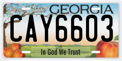 GA license plate CAY6603