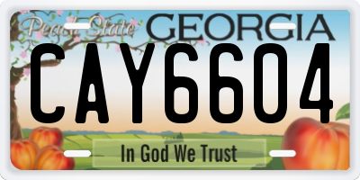 GA license plate CAY6604
