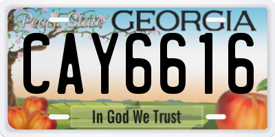 GA license plate CAY6616