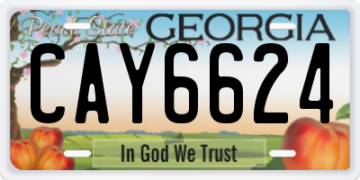 GA license plate CAY6624