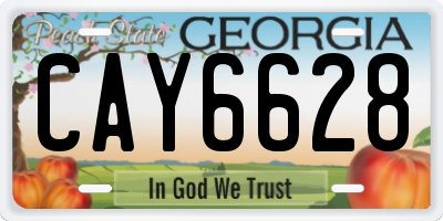 GA license plate CAY6628
