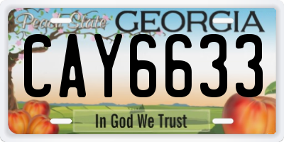 GA license plate CAY6633