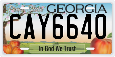 GA license plate CAY6640