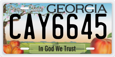 GA license plate CAY6645