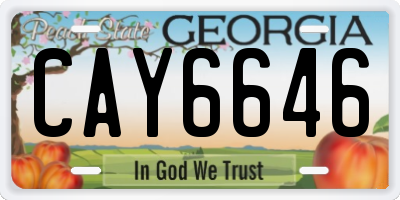 GA license plate CAY6646