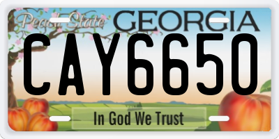 GA license plate CAY6650