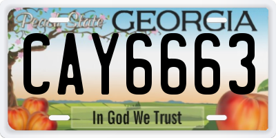 GA license plate CAY6663