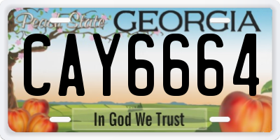 GA license plate CAY6664