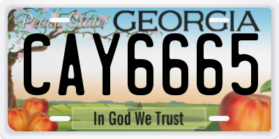 GA license plate CAY6665