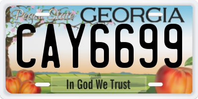 GA license plate CAY6699