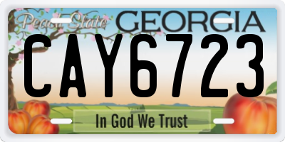 GA license plate CAY6723
