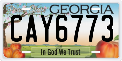 GA license plate CAY6773