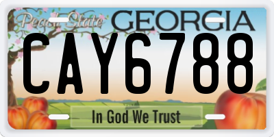 GA license plate CAY6788