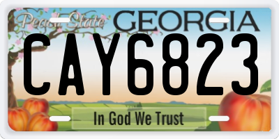 GA license plate CAY6823