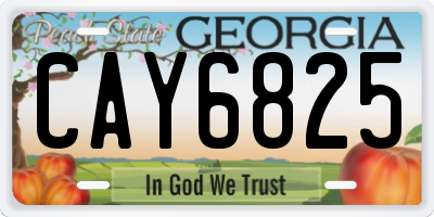 GA license plate CAY6825