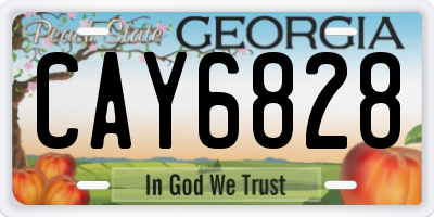 GA license plate CAY6828