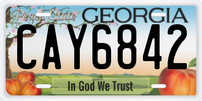 GA license plate CAY6842