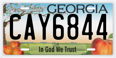 GA license plate CAY6844