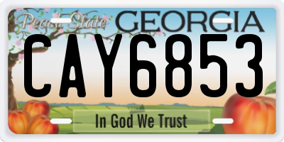 GA license plate CAY6853