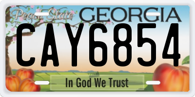 GA license plate CAY6854