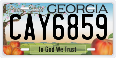 GA license plate CAY6859