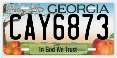 GA license plate CAY6873
